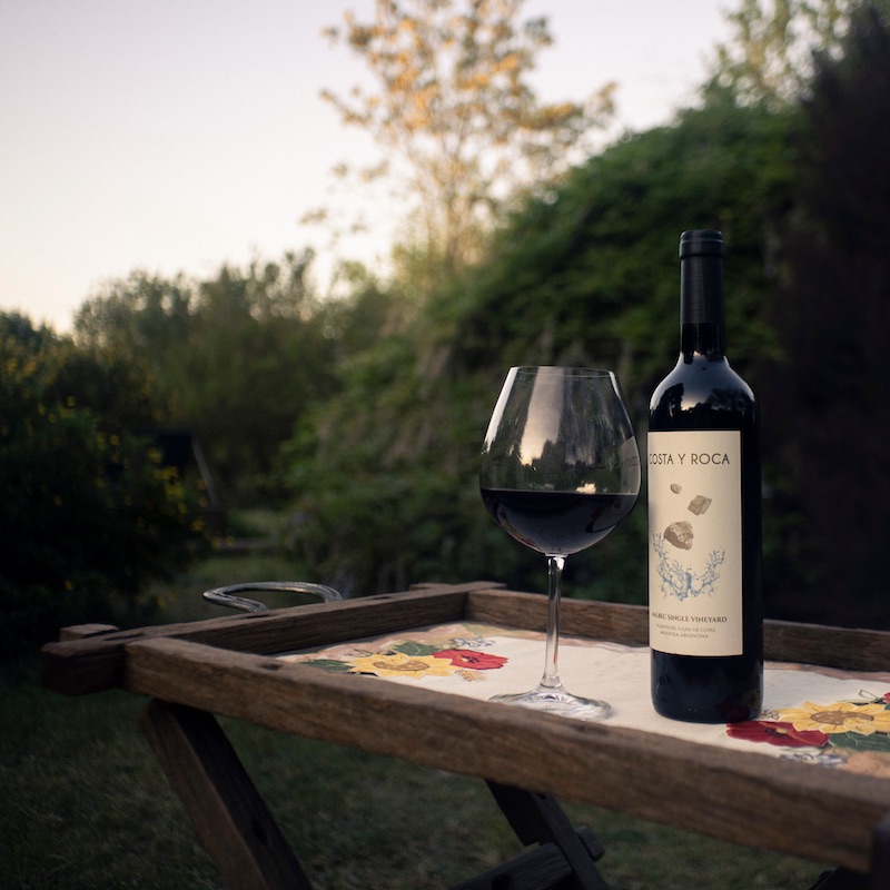 Wine tasting in the vineyards of Garda Trentino